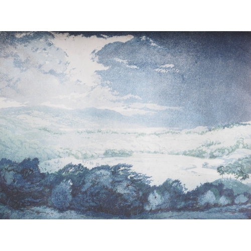 429 - Ann Brunskill: a signed limited edition etching, 