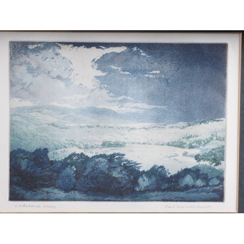 429 - Ann Brunskill: a signed limited edition etching, 