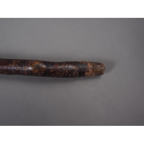 167 - A hawthorn sword stick, blade 14 1/2