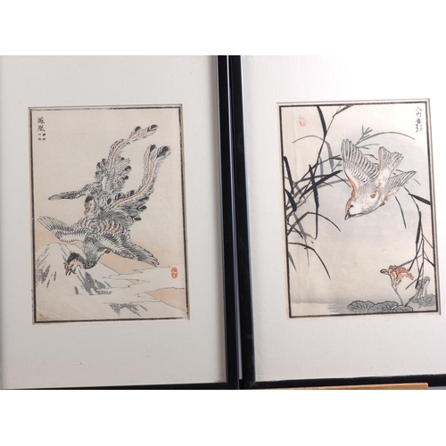 305 - Kono Bairei: two Japanese woodblock prints from One Hundred Bird series, Phoenix and Sparrow, Ito So... 