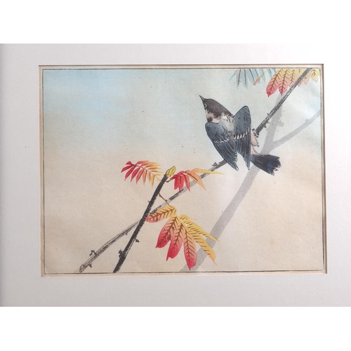 305 - Kono Bairei: two Japanese woodblock prints from One Hundred Bird series, Phoenix and Sparrow, Ito So... 