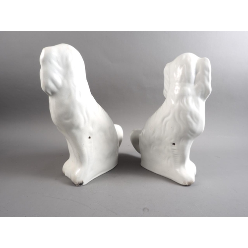 8 - A pair of Staffordshire dogs, 12