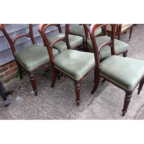 448 - A set of six Victorian mahogany loop back standard dining chairs, on turned supports