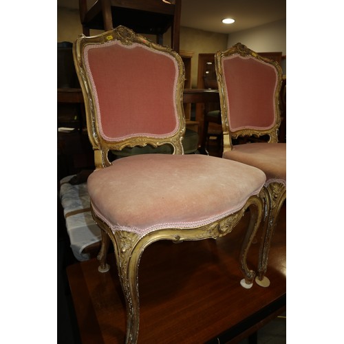 429 - A pair of James Shoolbred  Louis XVI design carved giltwood showframe salon chairs with padded backs... 