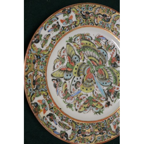 71 - A pair of Chinese porcelain butterfly plates, 7 1/4