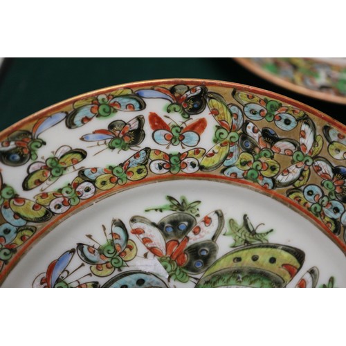 71 - A pair of Chinese porcelain butterfly plates, 7 1/4