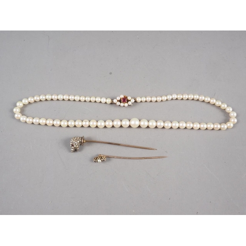 292 - A single strand pearl necklace with 9ct gold clasp set pearls and a ruby (one pearl missing on clasp... 