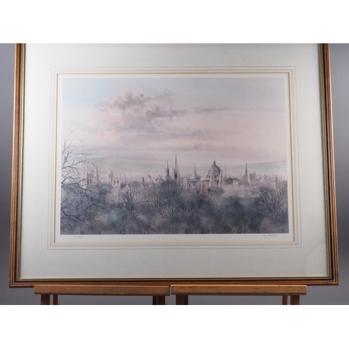 306 - Ken Messer: a signed limited edition colour print, view of Oxford, 37/850, in strip frame