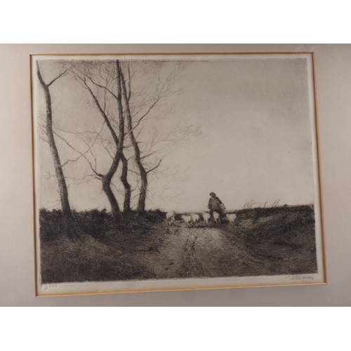 319 - Tatton Winter: a signed etching, shepherd and sheep, in mahogany frame