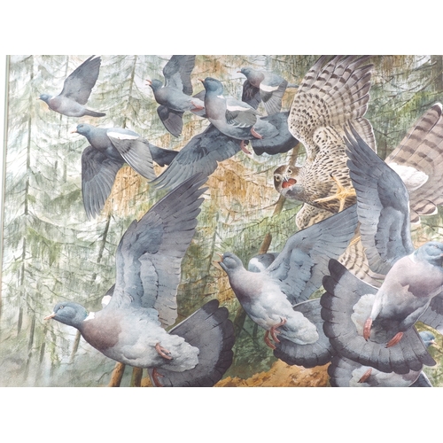 362 - Robert Marton, 1975: watercolour and bodycolours, kestrel amongst woodpigeons, 20