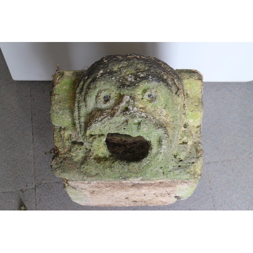 224 - A 15th century carved stone gargoyle, from the All Saints Parish Church, St Ives, Huntingdonshire (n... 