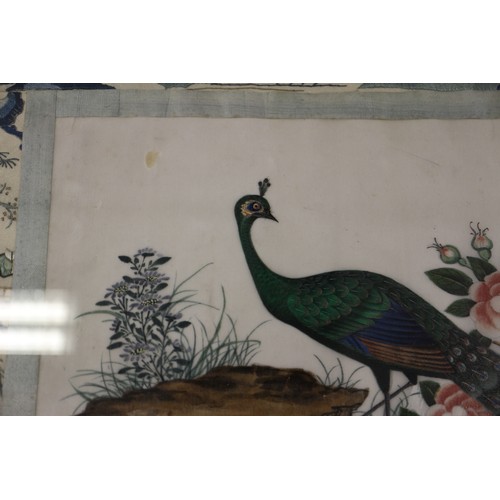 96 - A Chinese watercolour on pith paper, peacock mounted on embroidered silk panel, 13 1/2