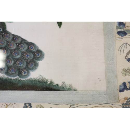 96 - A Chinese watercolour on pith paper, peacock mounted on embroidered silk panel, 13 1/2