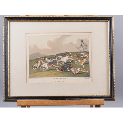 328 - Three early 19th century hand-coloured sporting prints, coursing, beagling and sledging, and a colou... 