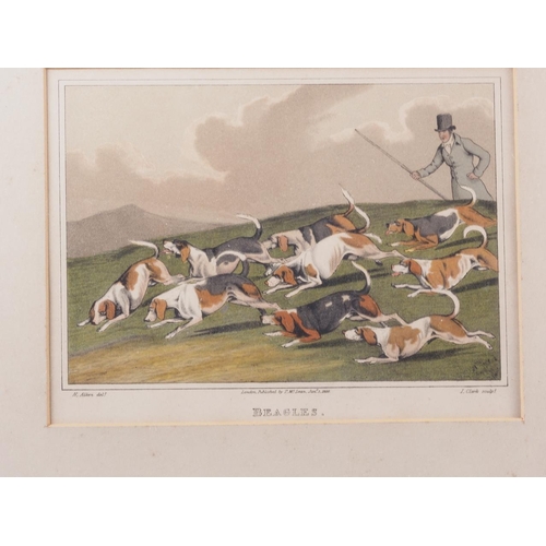 328 - Three early 19th century hand-coloured sporting prints, coursing, beagling and sledging, and a colou... 