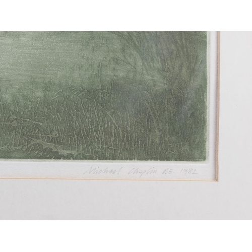 331 - Michael Chaplin RE, 1982: a signed limited edition etching, 