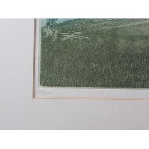 331 - Michael Chaplin RE, 1982: a signed limited edition etching, 