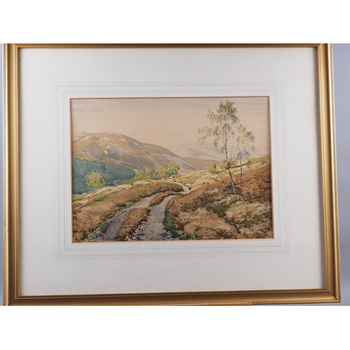 355 - Claude Hayes: watercolours, cattle by a stream, 13 1/4” x 20 1/2”, in gilt strip frame, ... 