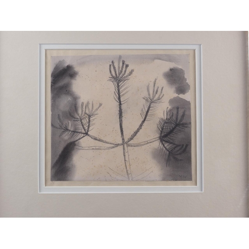 395 - Mary Newcombe: pen and wash, 