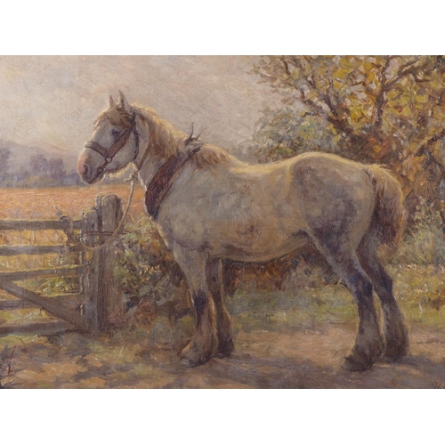 428 - William Greene, 1918: oil on canvas, Percheron heavy horse at the end of the day, 15