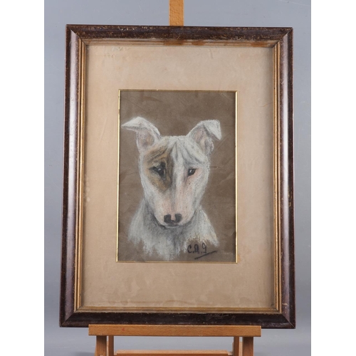 429 - D Martyn: oil on canvas faced board, hound, 17 1/2