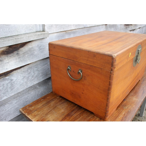 511 - A camphor wood chest with iron carry handles, 30