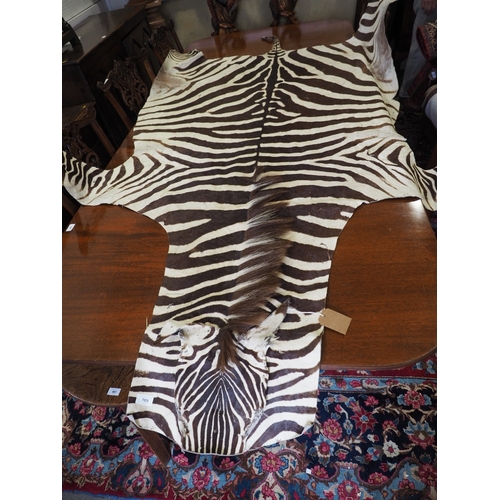 169 - A zebra skin floor cover, 104” x 68” approx overall