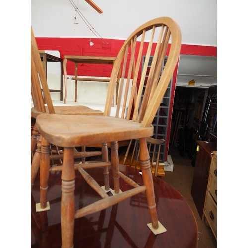 523 - Two Windsor spindle back standard chairs, on turned and stretchered supports