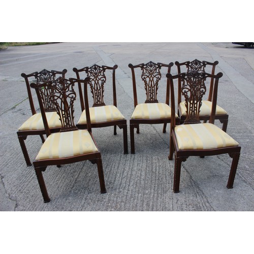 604 - A set of six carved mahogany Chippendale ribbon back design standard dining chairs with drop-in seat... 