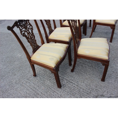 604 - A set of six carved mahogany Chippendale ribbon back design standard dining chairs with drop-in seat... 