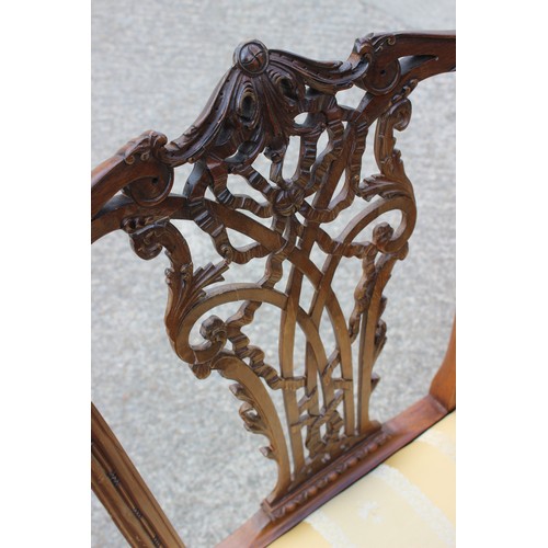 604 - A set of six carved mahogany Chippendale ribbon back design standard dining chairs with drop-in seat... 