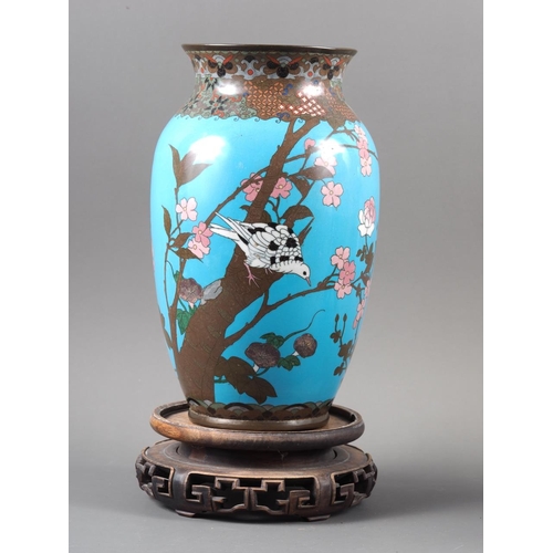 92 - A pair of Japanese cloisonne vases with dove and flower design on a turquoise ground (haircracks), o... 