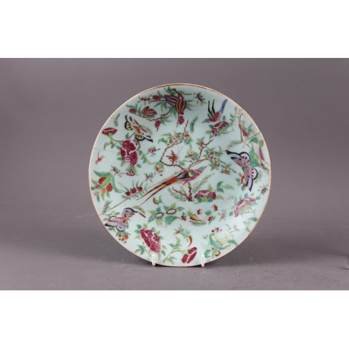 116 - A pair of Canton famille rose bird and insect decorated plates, 10