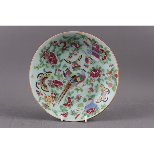 116 - A pair of Canton famille rose bird and insect decorated plates, 10