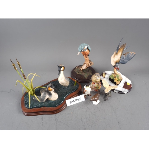 223 - A composition model of a kingfisher, a similar model of a swallow, grebes and other bird models