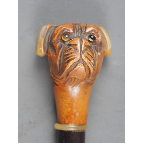 191 - An evening cane with carved boxwood and horn mounted boxer head terminal, 30