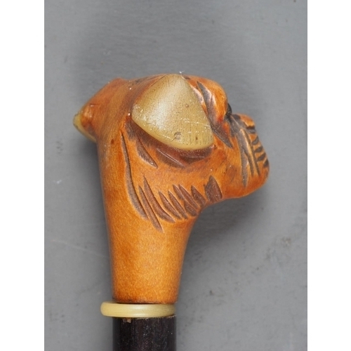 191 - An evening cane with carved boxwood and horn mounted boxer head terminal, 30