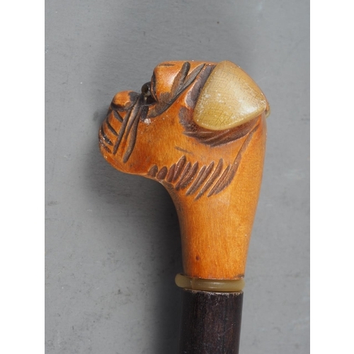 191 - An evening cane with carved boxwood and horn mounted boxer head terminal, 30