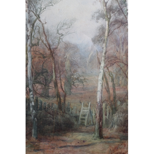 325 - F Mercer: a pair of watercolours, woodland scenes, 13 3/4