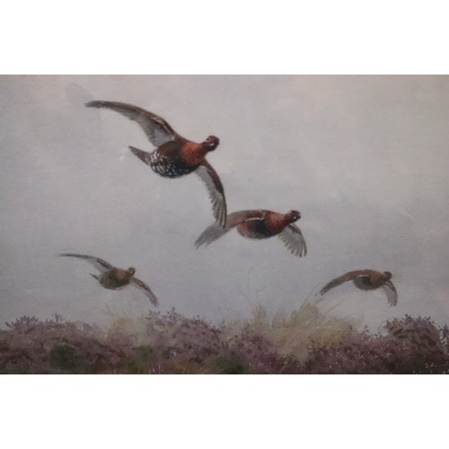 405 - H Harrison: watercolours, red grouse in flight over moorland, 21 3/4