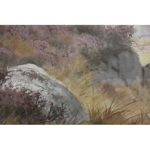 405 - H Harrison: watercolours, red grouse in flight over moorland, 21 3/4