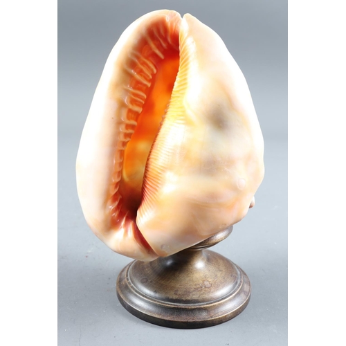 269 - A late 19th century cameo carved shell with Three Graces design, on turned wood stand, 7