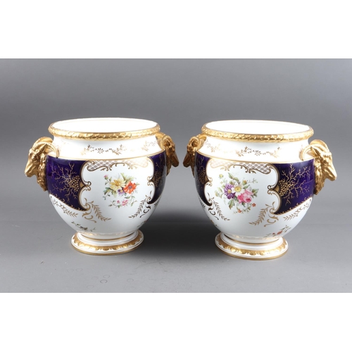 3 - A pair of Coalport jardinieres with blue, gilt and floral decoration, and ram's head masks, 12