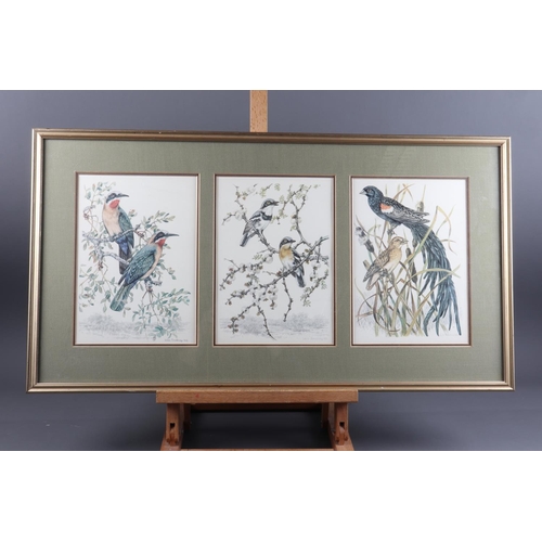 410 - After Dick Findlay: two sets of three prints, studies of birds, in gilt frames, a study of a flower,... 