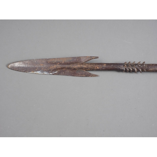 166 - A hardwood and metal spear with barbed head, 43