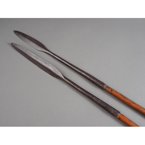 167 - Two hardwood and metal mounted spears, 54