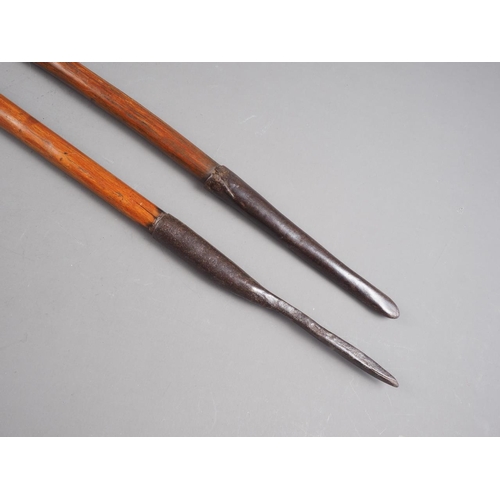 167 - Two hardwood and metal mounted spears, 54