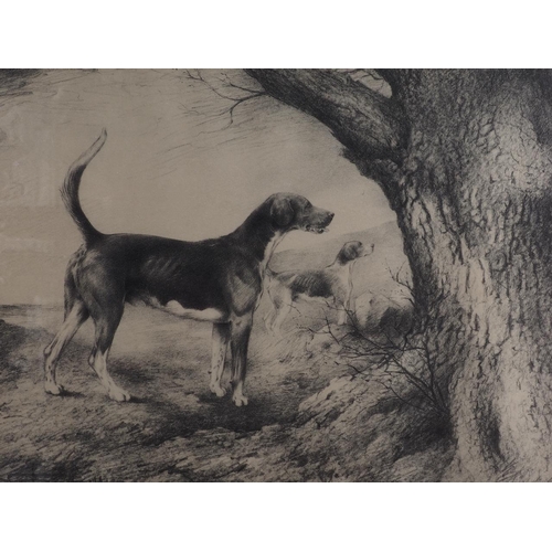 400 - E A Fothergill: a signed limited edition proof, a hound 