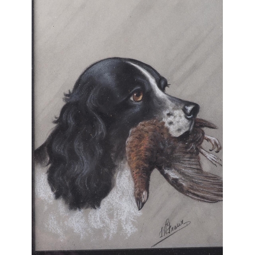 424 - J W Fraser: a pair of pastel studies, gun dogs, 10