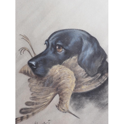 424 - J W Fraser: a pair of pastel studies, gun dogs, 10